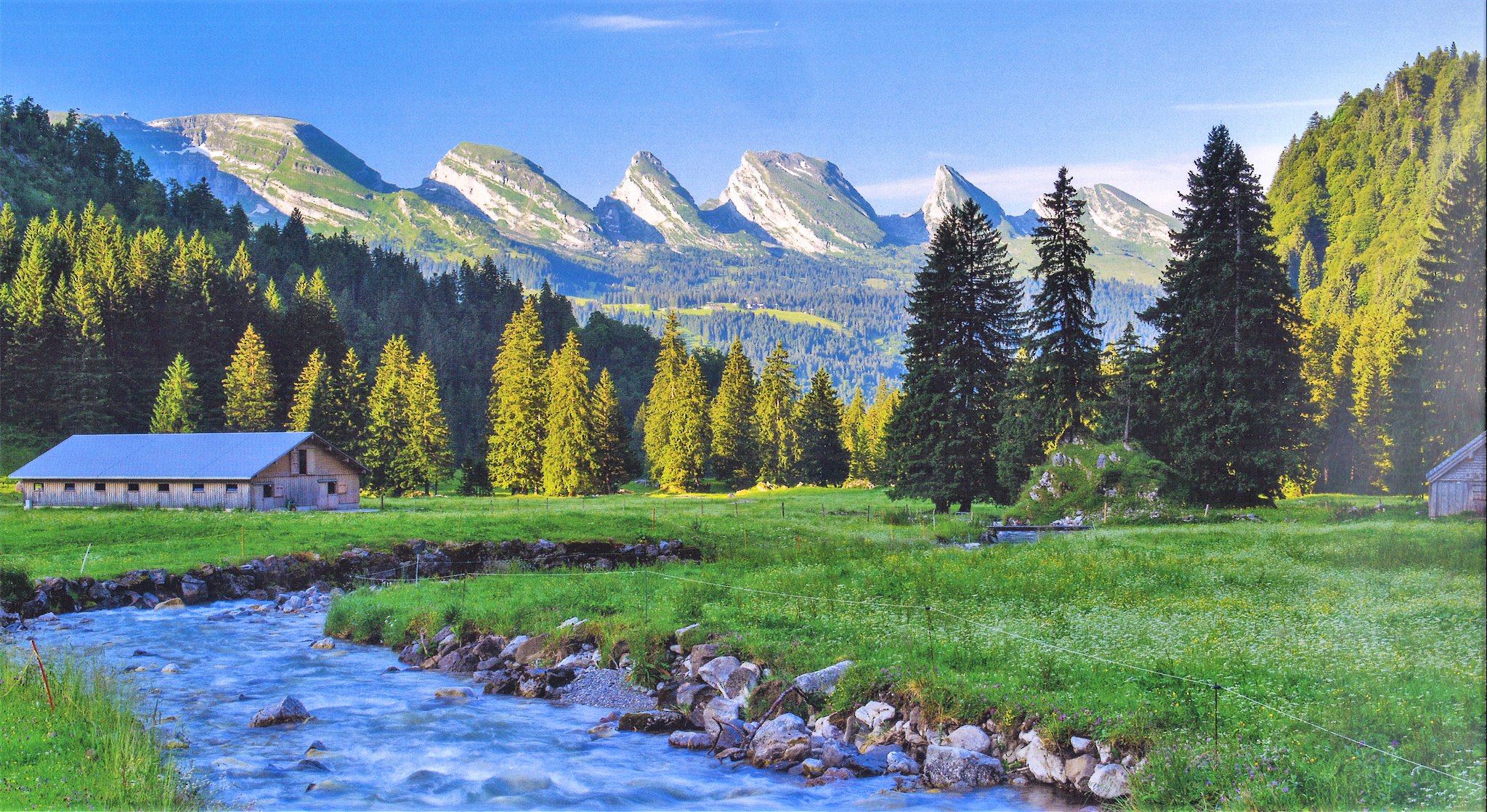 Un Viaggio Europeo #41 – Wildhaus (Svizzera)